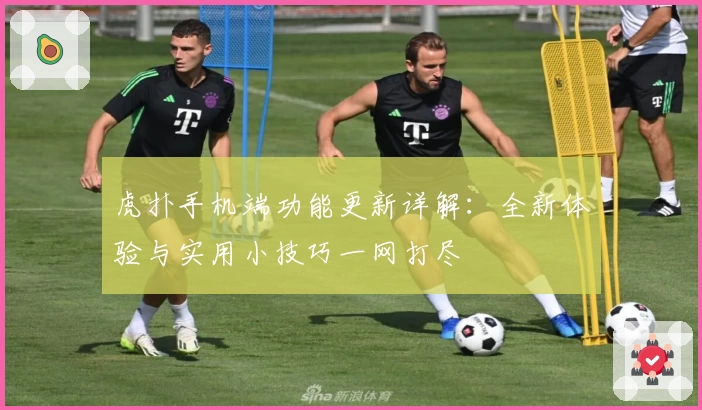 虎扑手机端功能更新详解：全新体验与实用小技巧一网打尽