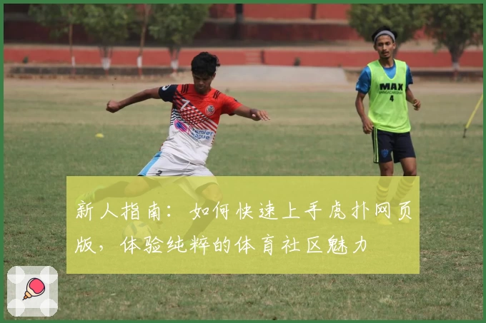 新人指南：如何快速上手虎扑网页版，体验纯粹的体育社区魅力