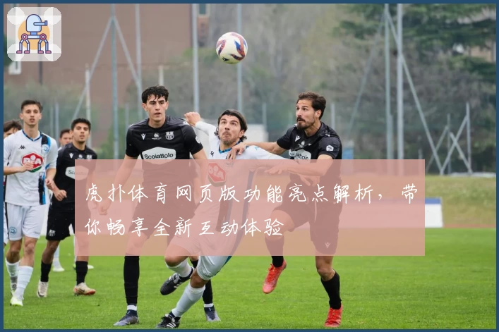 虎扑体育网页版功能亮点解析，带你畅享全新互动体验