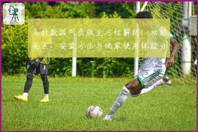 虎扑数据网页版全方位解析：功能亮点、安装方法与玩家使用体验分享